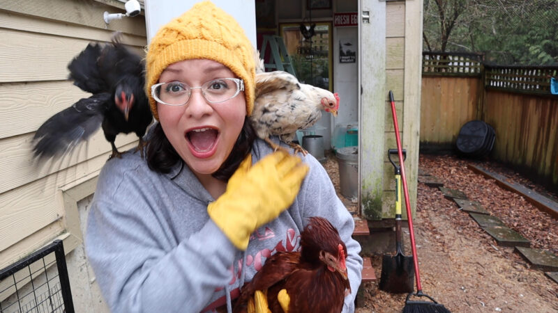 Ep. 101 Finding Chicks